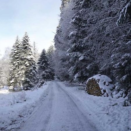 Gite Hansel De La Ferme Du Schneeberg Wangenbourg-Engenthal Zewnętrze zdjęcie