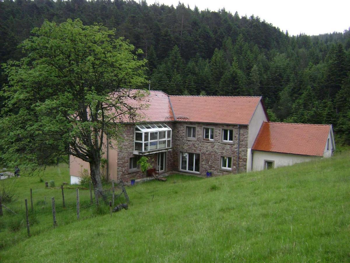 Gite Hansel De La Ferme Du Schneeberg Wangenbourg-Engenthal Zewnętrze zdjęcie