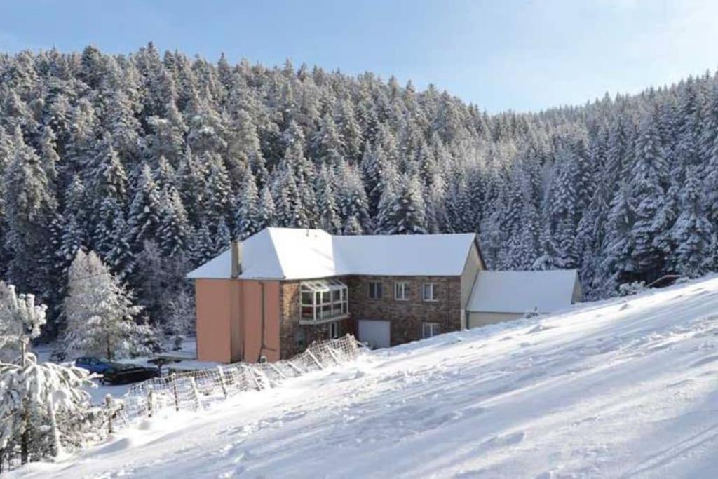 Gite Hansel De La Ferme Du Schneeberg Wangenbourg-Engenthal Zewnętrze zdjęcie