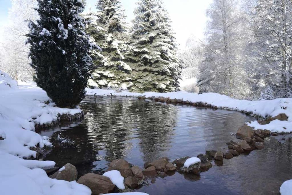 Gite Hansel De La Ferme Du Schneeberg Wangenbourg-Engenthal Zewnętrze zdjęcie