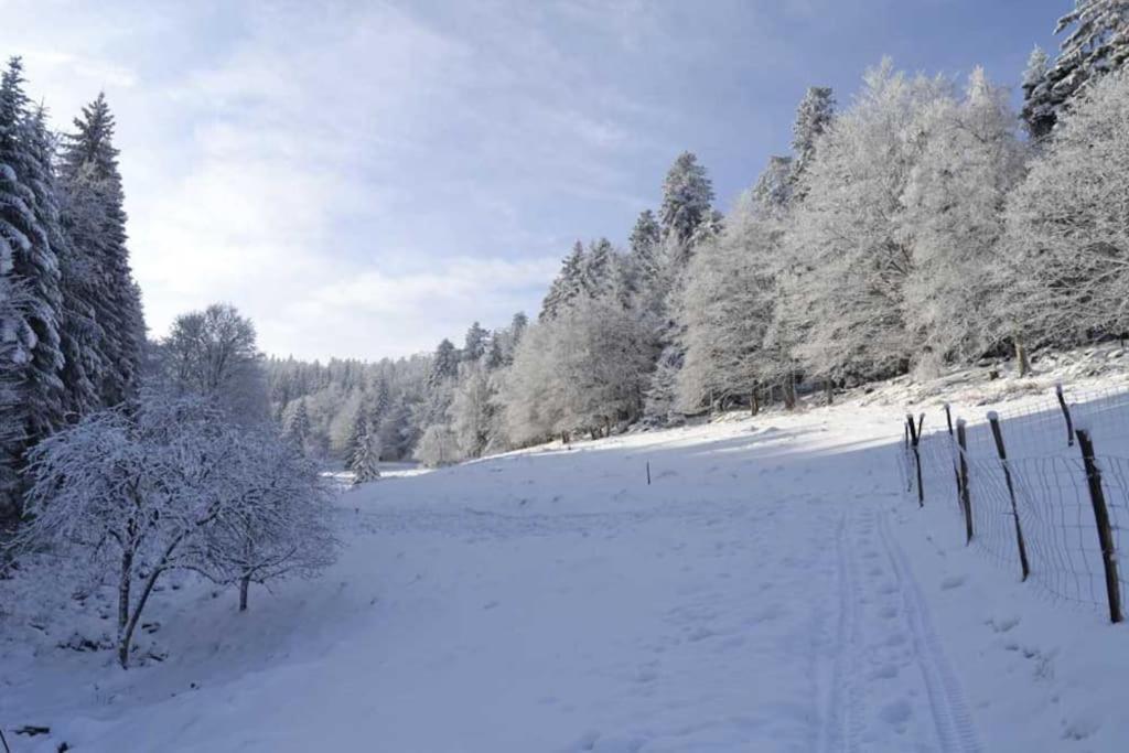 Gite Hansel De La Ferme Du Schneeberg Wangenbourg-Engenthal Zewnętrze zdjęcie